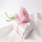 Gifts and Flowers