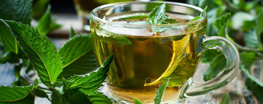 mint-herbal-tea-benefits